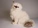   - Himalayan Persian, Sitting - Lifelike Plush|One Size - 16 inches