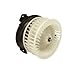 TYC 700069 Dodge/Plymouth/Chrysler Replacement Front Blower Assembly