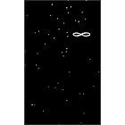 Haim Steinbach: Infinity Non by  Haim Steinbach
