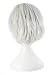 Taobaopit Gintama Sakata Gintoki Silver White short wig cosplay Wig + Cap