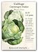 Cabbage Copenhagen Market Heirloom Seed 150 Seeds