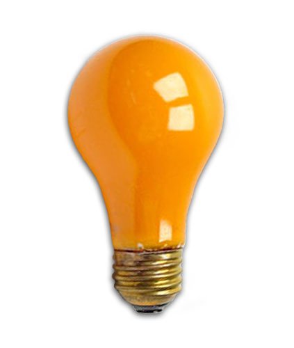 60 Watt Orange Light Bulb / Incandescent A19 Orange / 130 Volt Long Life