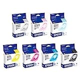 Epson 7 Color Ink Set with Photo Black for the Stylus Photo 2200 Inkjet Printer.