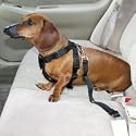 Harness Dog Car Safety Seat Belt system Sm/Med 12-28