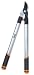 Telescopic Lopper