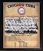 1945 Chicago Cubs National League Champions 11