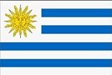 Uruguay Flag Polyester 3 ft. x 5 ft.