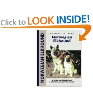norwegian elkhound norwegian elkhound