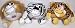 Vo-Toys Pudge Ball 8in Assorted Styles