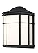 Trans Globe Imports LED-4484 BK Transitional LED Wall Sconce in Black Finish