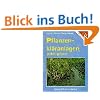 Pflanzenkl�ranlagen selbst gebaut