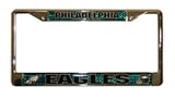 Philadelphia Eagles Domed Chrome License Plate Frame (Quantity of 1)