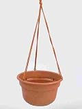 Poly Hanging Basket (DCHB10-TC)