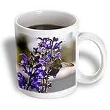 WhiteOak Photography Floral Prints - Bee and Salvia Flower Flower with a bee - Mugs