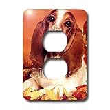 Dogs Basset Hound - Basset Hound - Light Switch Covers - 2 plug outlet cover