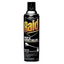 Raid Wasp and Hornet Killer, 14 oz. can