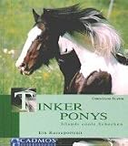 Tinker Ponys: Irlands coole Schecken. Ein Rasseportrait