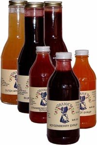 Apricot Syrup 14.4 ounce