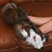 Alpaca Fur Slippers - Dark/Light - Medium (Dark/Light) (4