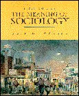 The meaning of sociology