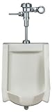 Sloan 10001001 N/A Royal Urinal System with Royal Manual Flushometer WEUS-1000.1001