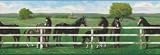 Saddle Up Wallpaper Border