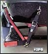 Rod Saver Paddle Buckle 2 inch Trailer Tie-Downs (4 Feet), Pair