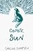 Coyote Sun