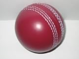 Burgundy Cricket Stress Ball