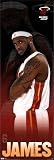 Miami Heat LeBron James Door Sports Poster Print - 21x62 custom fit with RichAndFramous Black 21 inch Poster Hangers