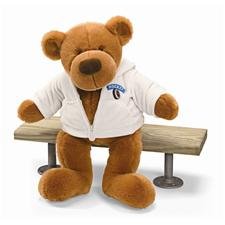 Plush All Stars Hockey Bear 19 by Gund