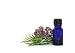 Rosemary and Marjoram Herbs - 24