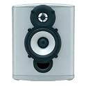 Surround Speaker