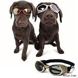 Doggles ILS Series Dog Goggles (X-Small) Chrome