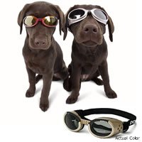 Doggles ILS Protective Goggle Eyewear for Dogs (Large)