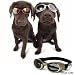 Doggles ILS Series - SMALL CHROME