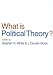 What is Political Theory?