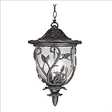 Kenroy Home Meadow Outdoor Hanging Lantern