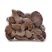 Asian Porcini Mushrooms Fresh Frozen 1 lb.