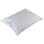 Royal Velvet Legacy White Feather and Down King Pillow - Twin Pack
