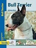 Bull Terrier