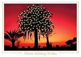 Office Supplies & Practice Mkt Holiday Card Tropical Tidings 5 1/2x7 3/4 25/pk - Model H58308
