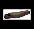 NEW ALPS MOUNTAINEERING DESERT PINE -20Â° REGULAR CLAY/BRN