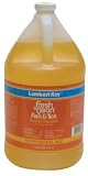 Fresh N Clean Scented Flea & Tick Shampoo - Gallon