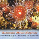 Search : Underwater Marine California: Guide to Marine Life for Scuba Divers and UW Photographers
