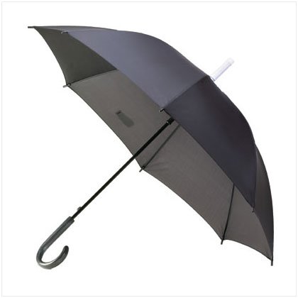 Umbrella With Cover