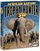 African Safari Trophy Hunter 3D