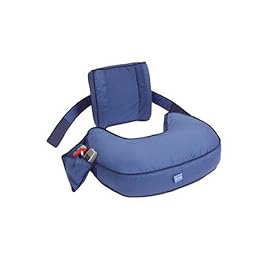 Ease Back Support Pillow