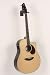 Breedlove Atlas Stage Series D25/SRe Dreadnought Acoustic-Electric Guitar Natural 886830782664