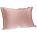 Spasilk 100% Pure Hair and Skin Silk Pillowcase, Queen 20